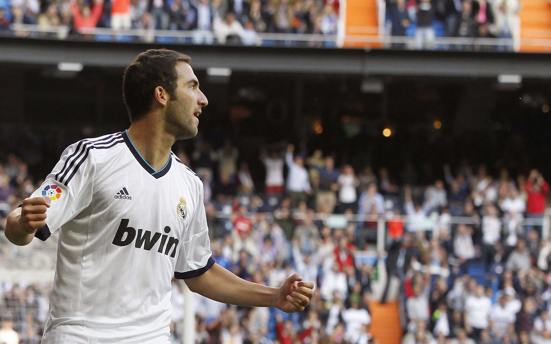 打造本地运动生态系统分析内容的专题新闻平台，生态运动项目